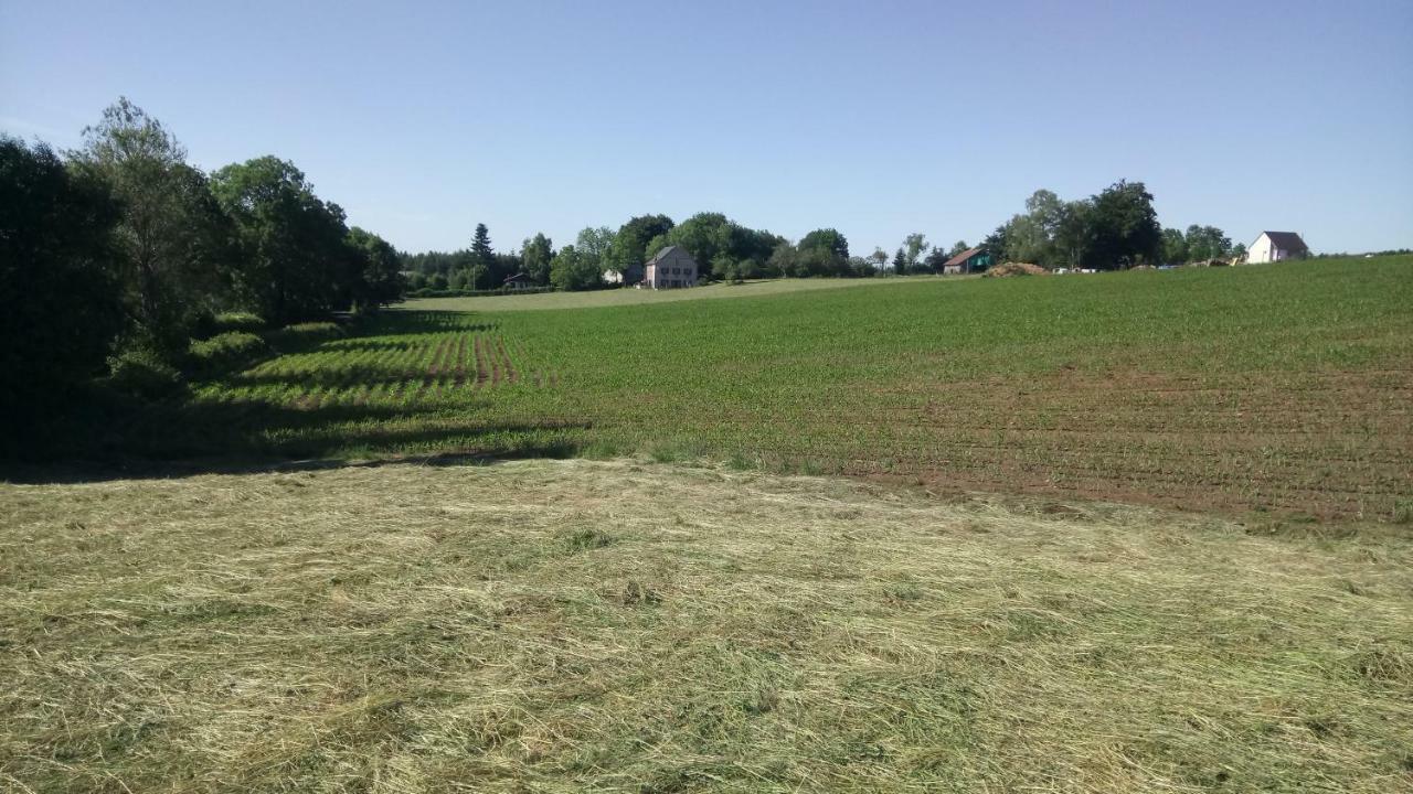 Gite Les Chaumeix Prondines Exterior foto